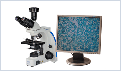 生物显微镜北京莱博瑞杰科技有限公司