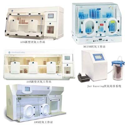 DWS厌氧培养箱广州市华粤行仪器有限公司