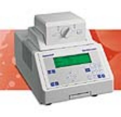 Eppendorf Mastercycler 普通PCR仪