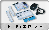 MiniRun凝胶电泳仪