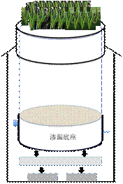 EcoTron多功能小型蒸渗仪