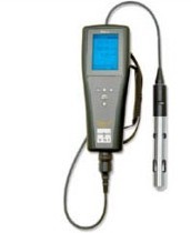 YSI Pro20型溶解氧测量仪美国
