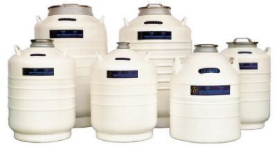 金凤液氮罐YDS-35-80 含长提筒 合格品