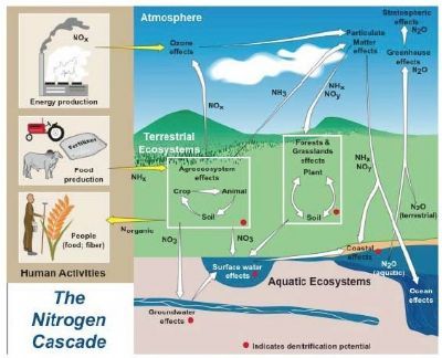 EcoTron 氮沉降在线观测系统