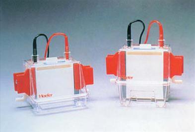 Hoefer MiniVE、SE250、SE260 垂直电泳系统