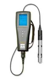 YSI Pro20型 便携式专业型溶解氧测量仪