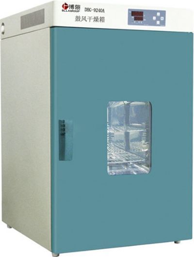 【博翎品牌】250℃立式电热鼓风干燥箱烘箱 DHG-9240A