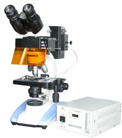LW100FB双目荧光显微镜