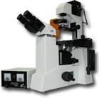 LWD200-37FB倒置荧光显微镜