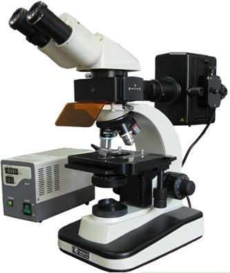 LW200LFB落射荧光显微镜
