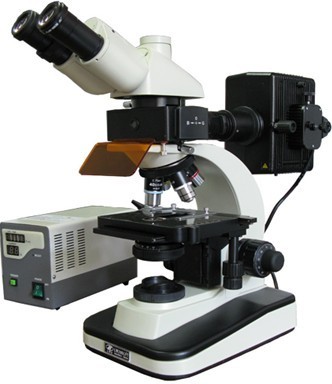 LW200LFT落射荧光显微镜