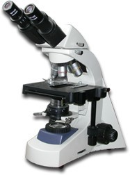 LW300-48LB实验型生物显微镜