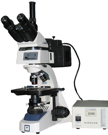 LW300-48LFT落射荧光显微镜