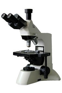 LW300LT无穷远高清生物显微镜