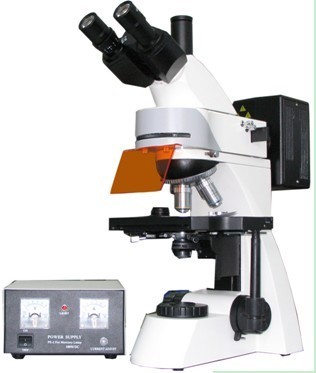 LW300LFT落射荧光显微镜