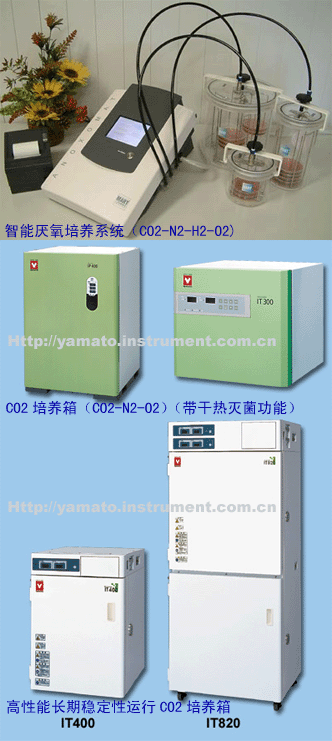 日本YAMATO二氧化碳培养箱