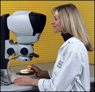 英国VISION公司 LYNX无目镜立体显微镜