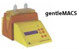 德国美天旎gentleMACSTM/Octo全自动组织处理器