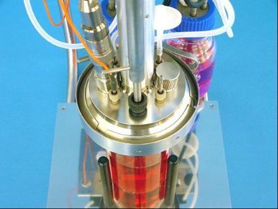 德国HITEC ZANG生物反应器/发酵罐－OmniFerm–微型生物反应系统－