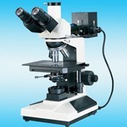E30-LW200-3JT透反射正置金相显微镜
