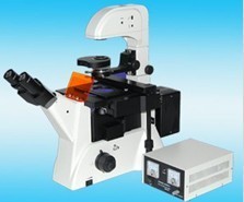 E30-LWD300-38LFT无穷远倒置荧光显微镜