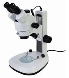 体视显微镜/立体显微镜