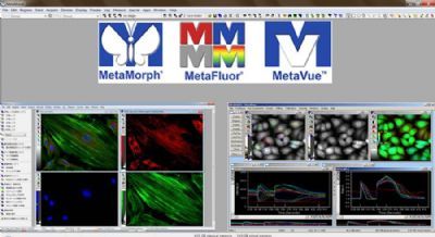 显微图像分析软件 Molecular Devices