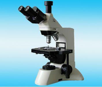 E30-LW300LT实验型生物显微镜