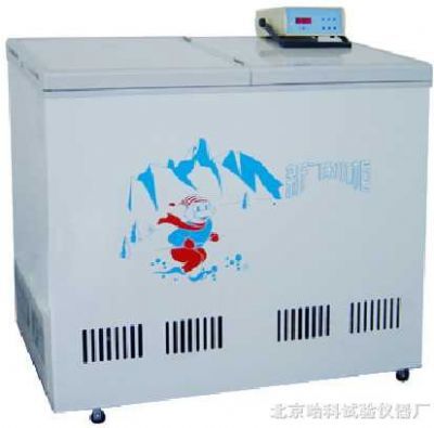 低温冷冻箱XWK-10