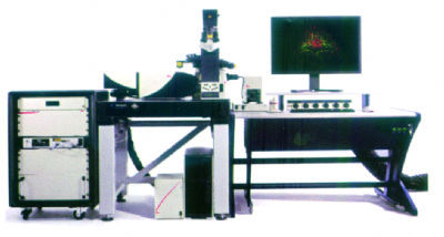 TCS SP8激光共聚焦显微镜