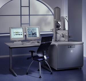 FEI Quanta SEM 环境扫描电子显微镜