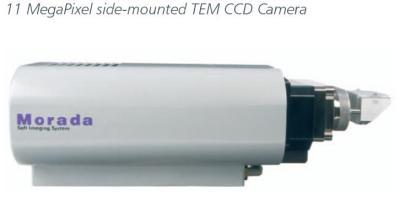 SIS 透射电镜数字摄像头(TEM CCD Camera)