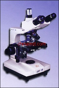 荧光生物显微镜2XC13