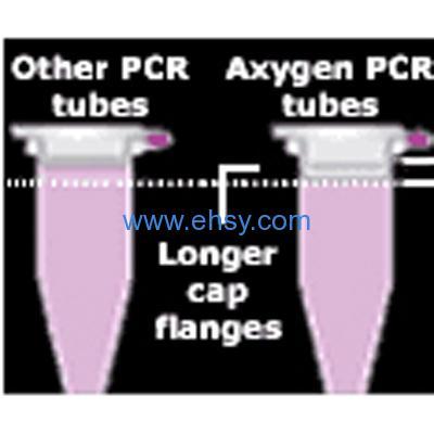 PCR管/板