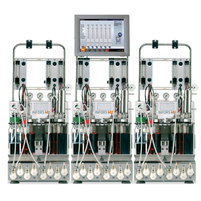 INFORS Multifors 平行发酵罐