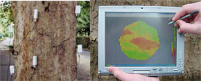 ARBOTOM脉冲式树木断层摄影仪