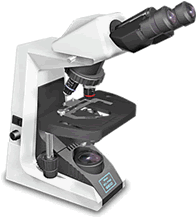 NIKON E200显微镜