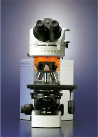 NIKON 80i显微镜