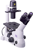 尼康常规倒置生物显微镜TS100