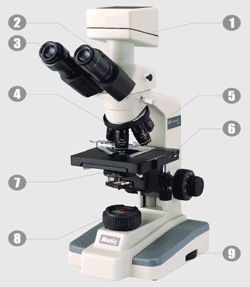 数码显微镜（DMB5）