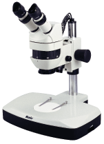 体视显微镜（K）