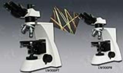 LW300PT/B透射偏光显微镜