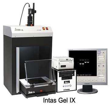 德国Royal公司Intas系列凝胶成像系统
