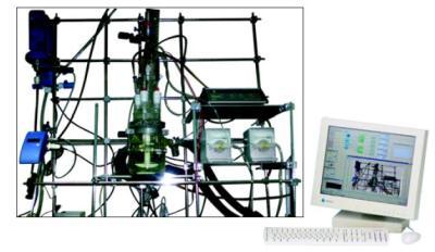 CHEMWOLRD-BEACHTOP 小型过程优化&在线监测反应器