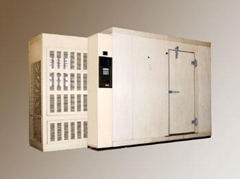 标准系列标准步入室试验箱