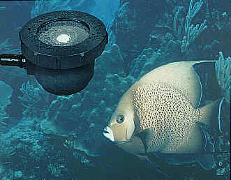 PMA 2104 水下UVB 探测器