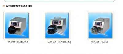 WT600F分配型智能蠕动泵/工业型蠕动泵/恒流泵