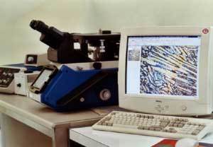 MEF3 金相显微镜-Reicher-Jung