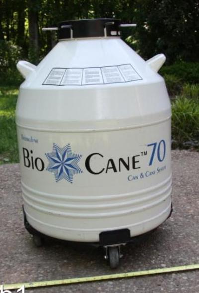 Thermo Scientific Bio-Cane低温存储系统