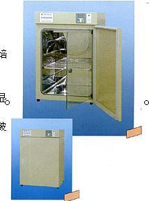 DNP型电热恒温培养箱